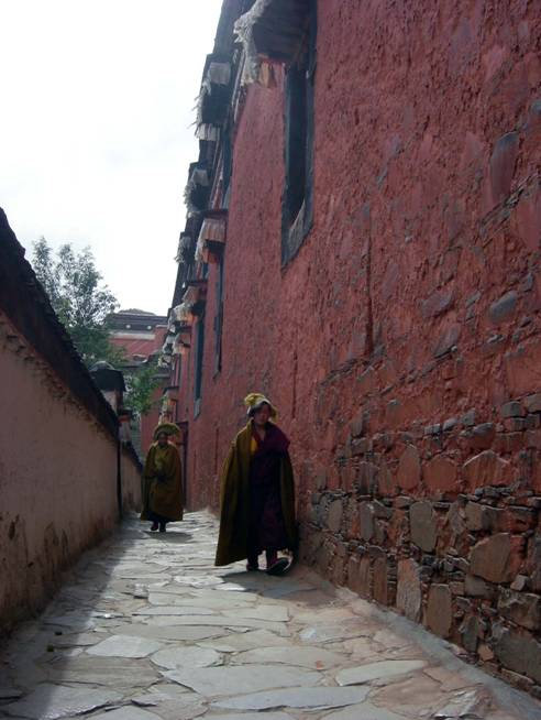 C:\Users\Bin\Desktop\西藏\12 days at the Roof of the World\Day 3_Lhasa-Shigatse拉薩－日喀則\Day305_Lamas at TashiLunpo Monastery.JPG